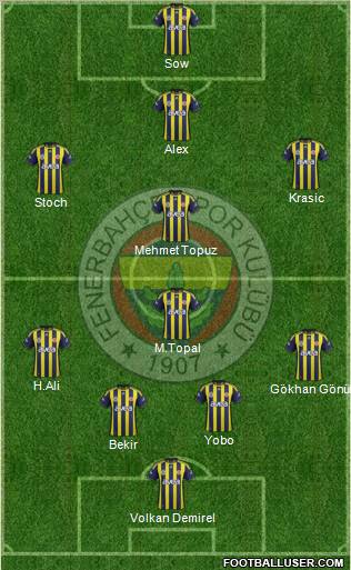 Fenerbahçe SK Formation 2012