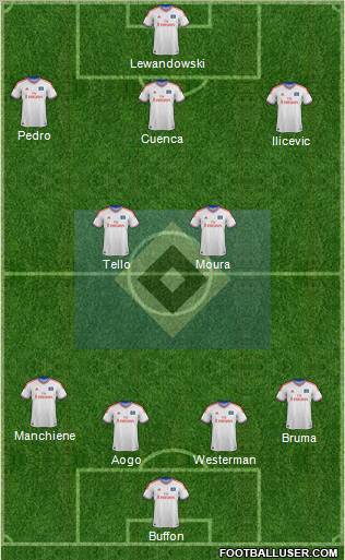 Hamburger SV Formation 2012