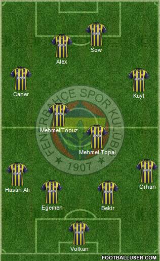 Fenerbahçe SK Formation 2012
