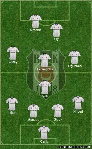 Besiktas JK Formation 2012