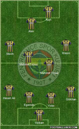 Fenerbahçe SK Formation 2012