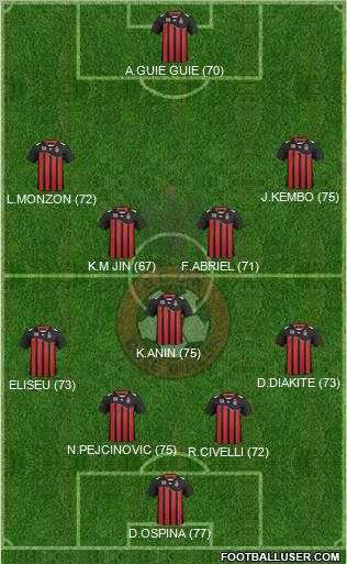 OGC Nice Côte d'Azur Formation 2012