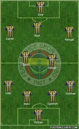 Fenerbahçe SK Formation 2012