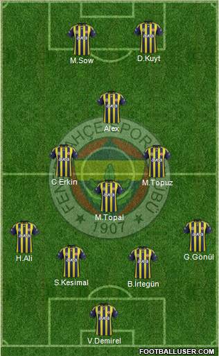 Fenerbahçe SK Formation 2012