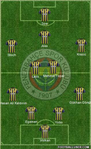 Fenerbahçe SK Formation 2012