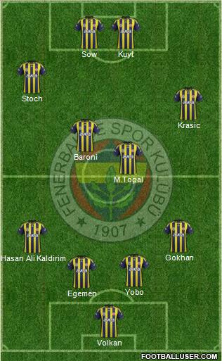 Fenerbahçe SK Formation 2012