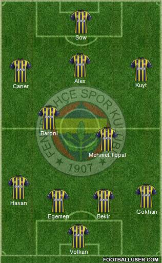 Fenerbahçe SK Formation 2012