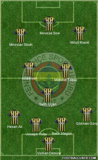 Fenerbahçe SK Formation 2012