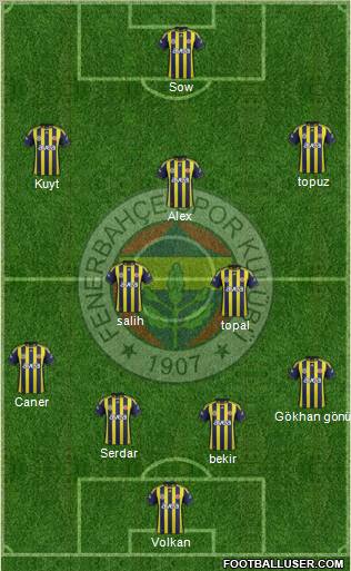 Fenerbahçe SK Formation 2012