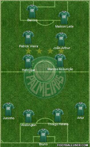 SE Palmeiras Formation 2012