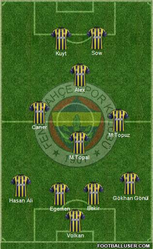Fenerbahçe SK Formation 2012