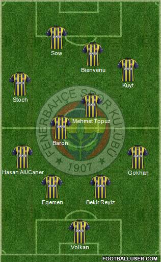 Fenerbahçe SK Formation 2012