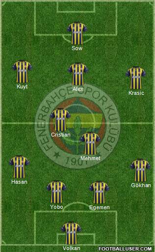 Fenerbahçe SK Formation 2012