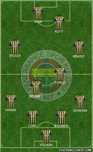 Fenerbahçe SK Formation 2012