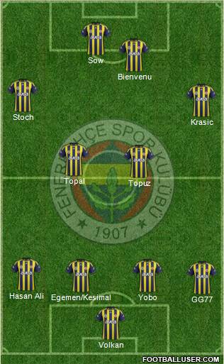 Fenerbahçe SK Formation 2012