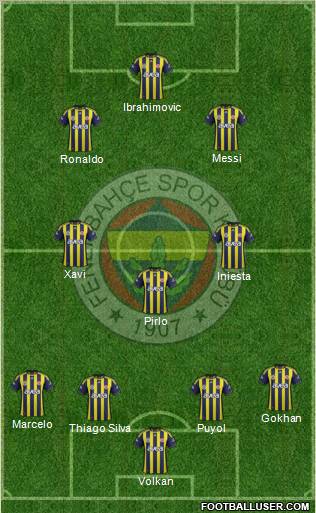 Fenerbahçe SK Formation 2012