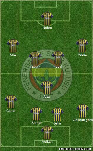 Fenerbahçe SK Formation 2012