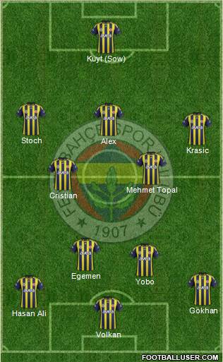 Fenerbahçe SK Formation 2012