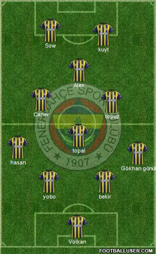 Fenerbahçe SK Formation 2012