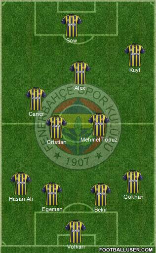 Fenerbahçe SK Formation 2012