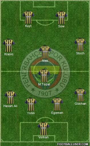 Fenerbahçe SK Formation 2012