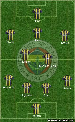 Fenerbahçe SK Formation 2012