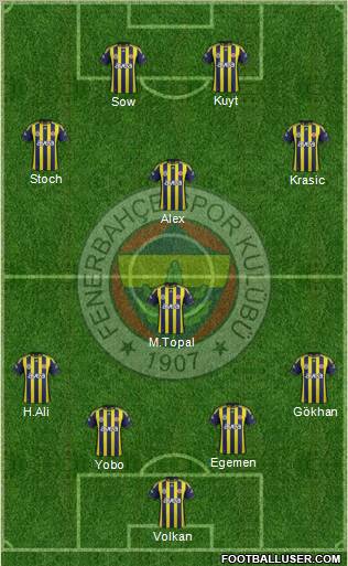 Fenerbahçe SK Formation 2012