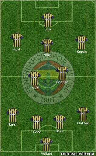 Fenerbahçe SK Formation 2012