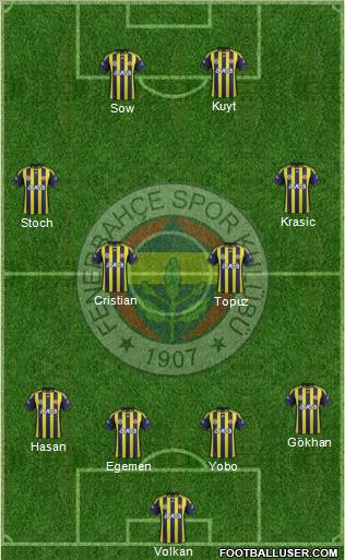 Fenerbahçe SK Formation 2012