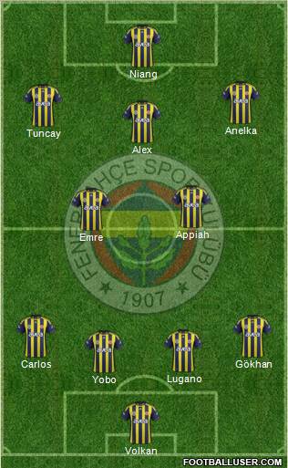 Fenerbahçe SK Formation 2012