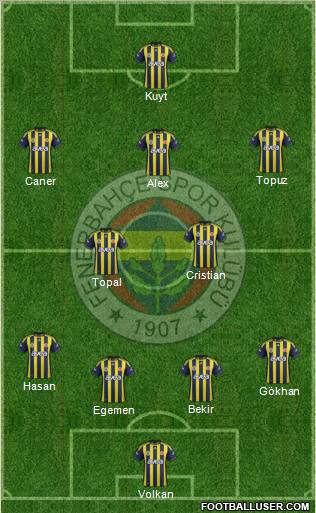 Fenerbahçe SK Formation 2012