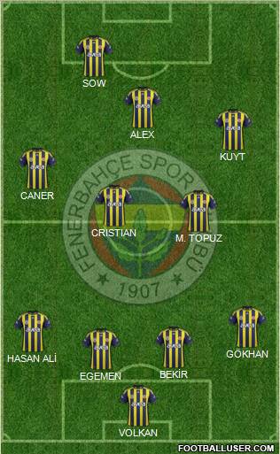 Fenerbahçe SK Formation 2012