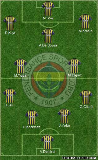 Fenerbahçe SK Formation 2012