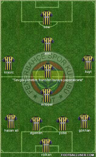 Fenerbahçe SK Formation 2012