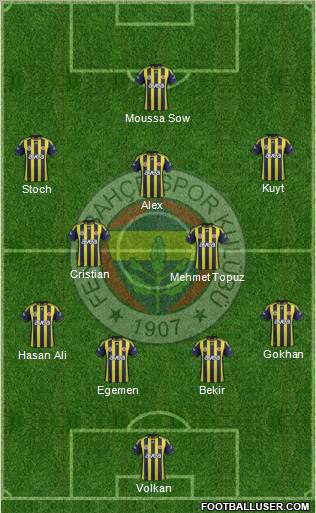 Fenerbahçe SK Formation 2012