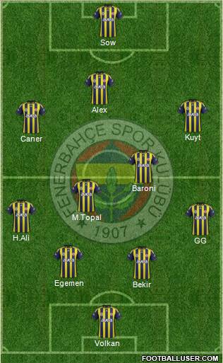 Fenerbahçe SK Formation 2012