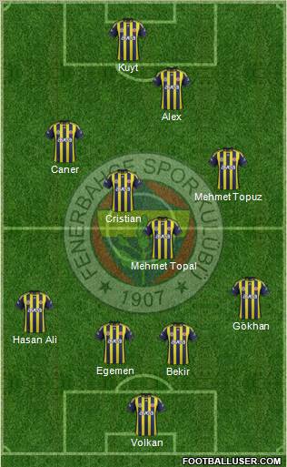 Fenerbahçe SK Formation 2012