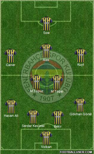 Fenerbahçe SK Formation 2012