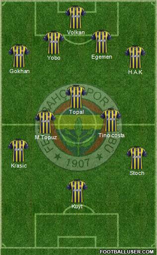 Fenerbahçe SK Formation 2012