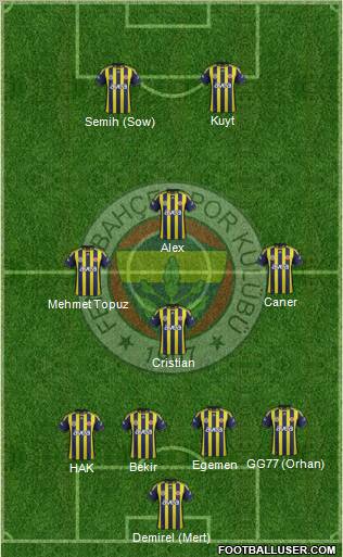 Fenerbahçe SK Formation 2012