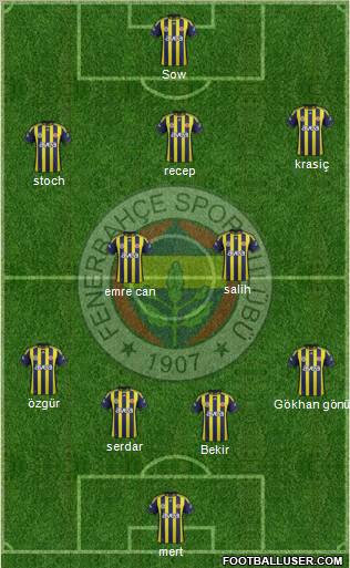 Fenerbahçe SK Formation 2012