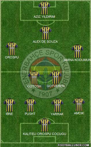 Fenerbahçe SK Formation 2012