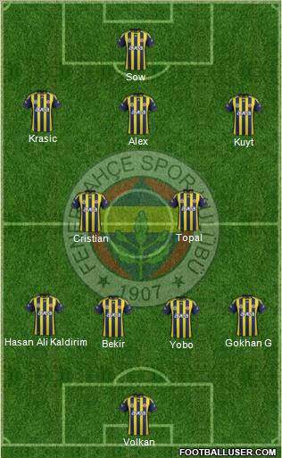Fenerbahçe SK Formation 2012