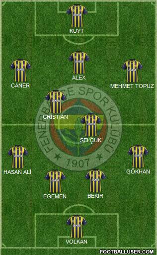 Fenerbahçe SK Formation 2012