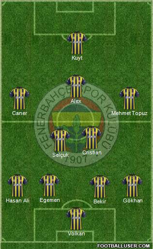 Fenerbahçe SK Formation 2012