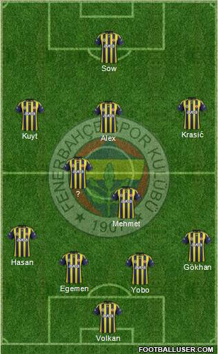 Fenerbahçe SK Formation 2012
