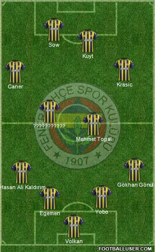 Fenerbahçe SK Formation 2012