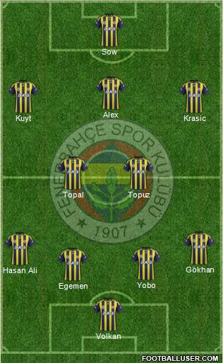 Fenerbahçe SK Formation 2012