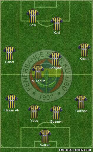Fenerbahçe SK Formation 2012