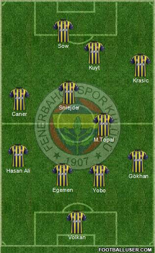 Fenerbahçe SK Formation 2012